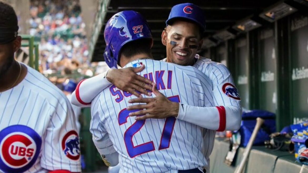 Faits saillants de la mi-saison Seiya Suzuki 2022 !