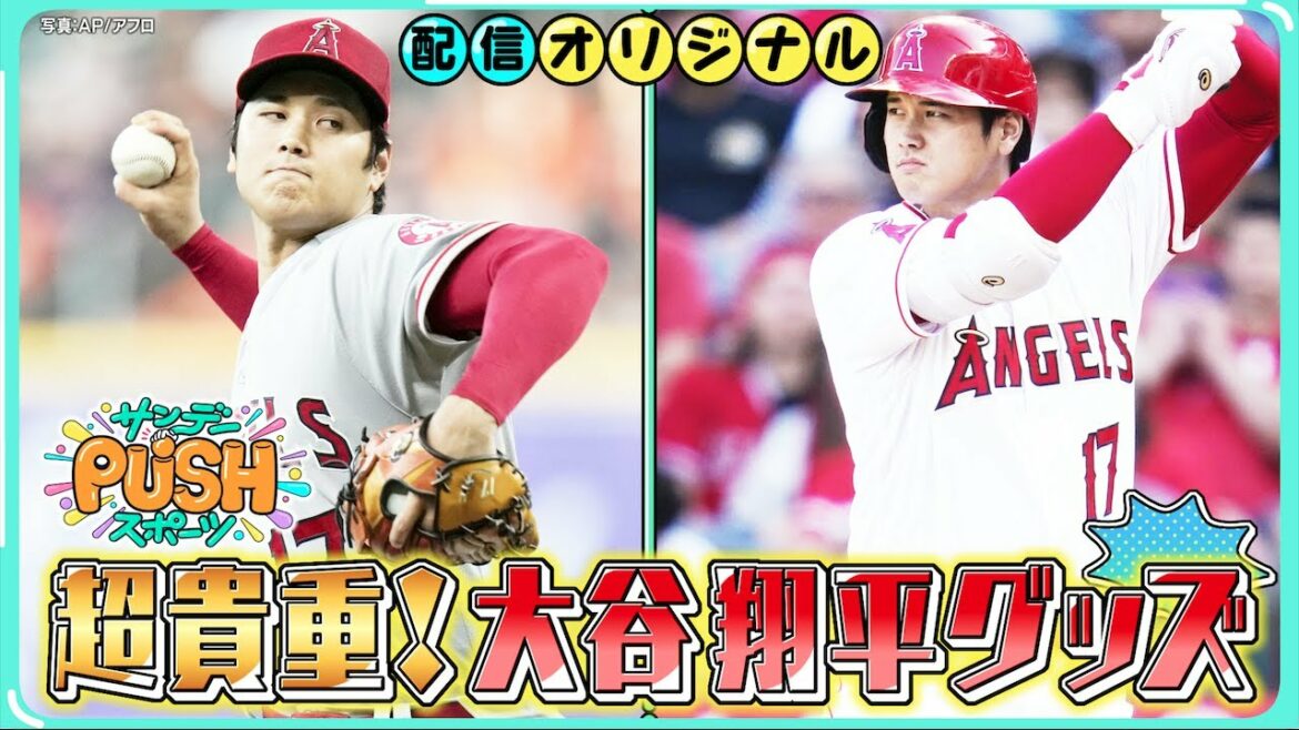 Un total de 20 millions de yens !  ? J'adore Shohei Ohtani ! Touchez directement les fans super enthousiastes[Sunday PUSH sports / distribution original]