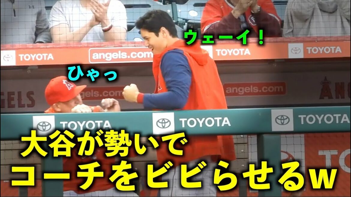 Shohei Otani w Angels qui est ravi du coup de circuit et terrifie l'entraîneur avec élan[vidéo locale]