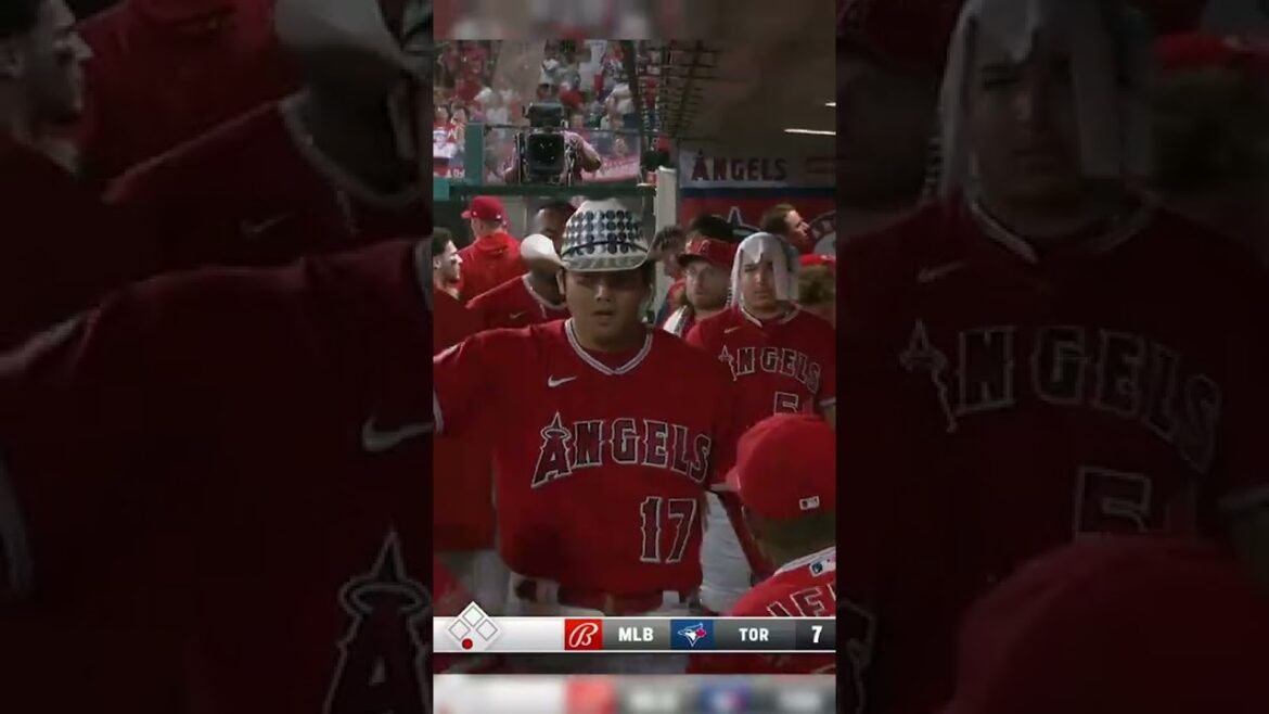 Et c'est ce que vous avez manqué sur Glee !