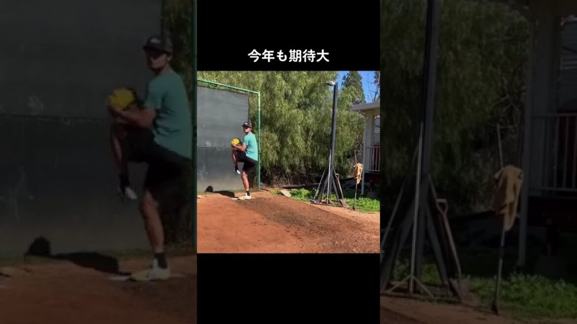 #Pitcher Yu Darvish #J'attends cette année aussi avec impatience