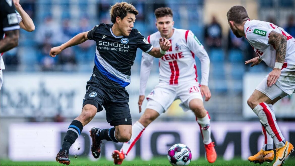 Ritsu Doan |  Compétences et objectifs |  Points forts