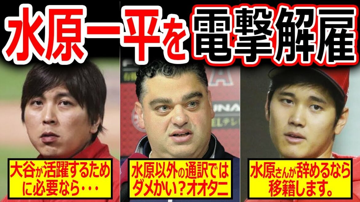 [Réaction outre-mer]Ippei Mizuhara demande à se retirer des Anges !  ? Les fans sont surpris pour une raison !  "C'est un mensonge..."[Shohei Ohtani]