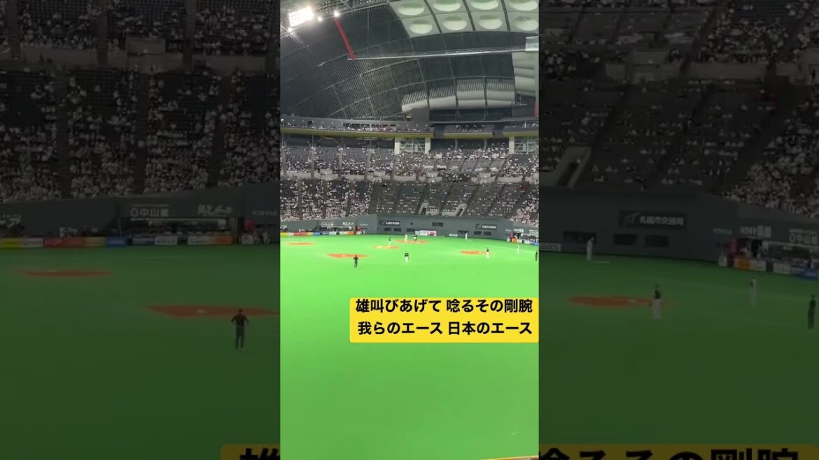 [Yu Darvish]Chanson d'encouragement !!!