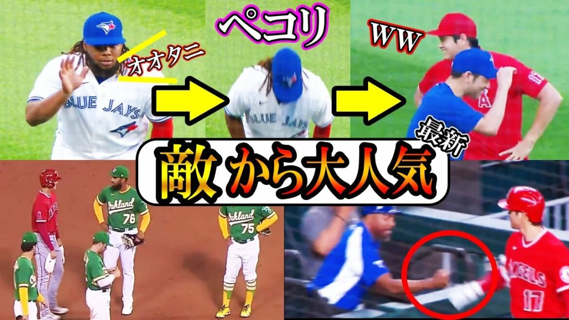 [Shohei Otani]Trop populaire auprès de l'équipe ennemie, tout le monde s'est réuni w ! Shohei Ohtani s'inclinant devant Guerrero Jr.
