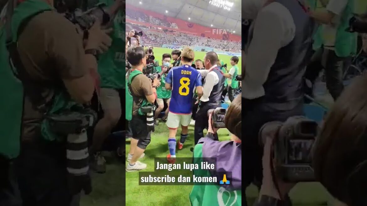 @Doan Ritsu homme de l'heure 🎌