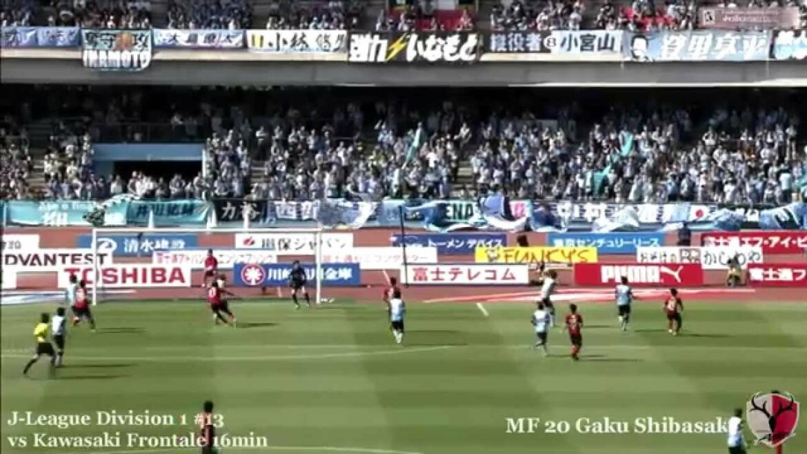 Gaku Shibasaki Tous les buts 2014