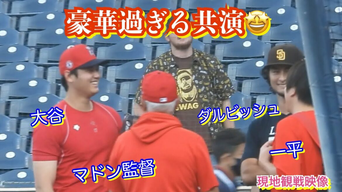 Shohei Otani n'arrête pas de parler !  ️Salutations à Darvish senior, le réalisateur Maddon est également là 🤩[vidéo locale]