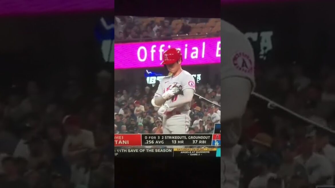 Shohei Ohtani met fin au no-hitter pour Tyler Anderson dans les Dodgers de Los Angeles, je suis tellement triste Shohei Ohtani met fin au no-hitter pour Tyler Anderson dans les Dodgers de Los Angeles, je suis tellement triste