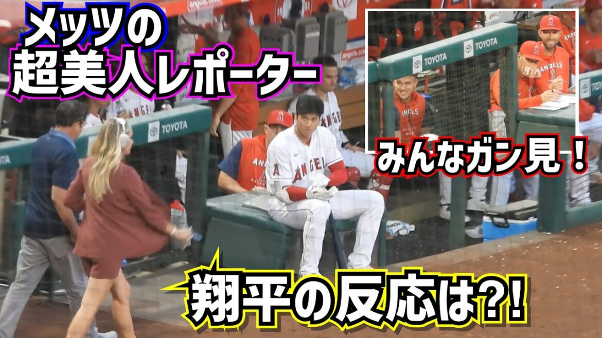 La super belle reporter des Mets est arrivée ! Quelle a été la réaction de Shohei Ohtani à ce moment-là ?![Vidéo locale]Shohei Ohtani Angels