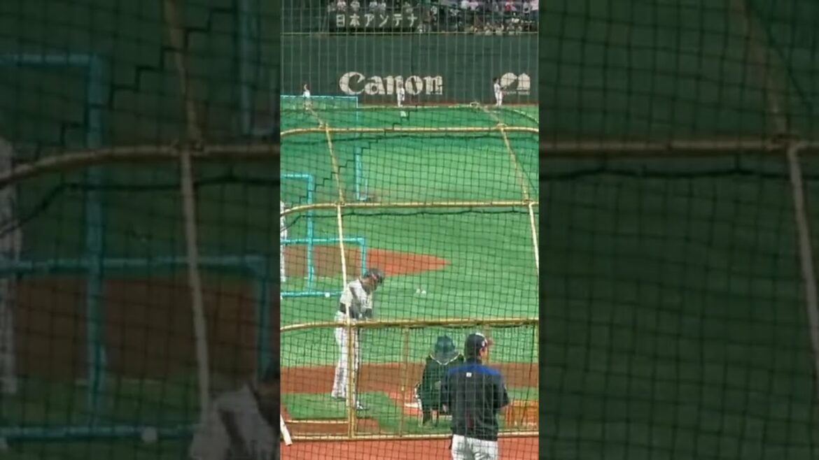 Seiya Suzuki Hiroshima Toyo Carpe #short