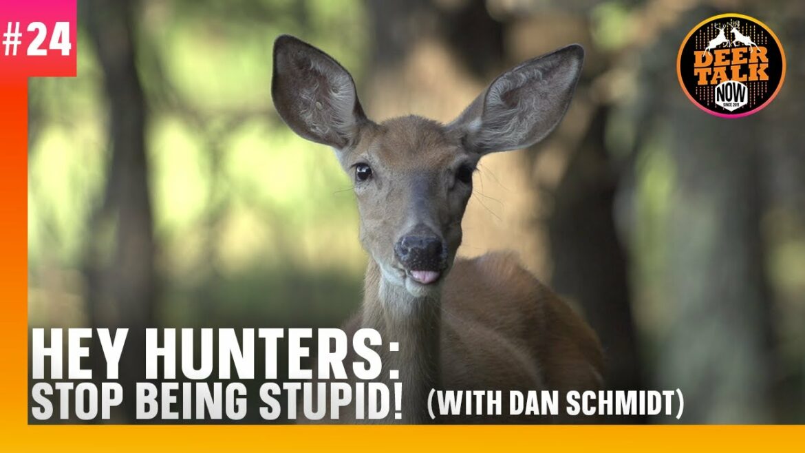 #24 : HEY CHASSEURS : ARRÊTEZ D’ÊTRE STUPIDES ! | Balado Deer Talk Now #24 : HEY CHASSEURS : ARRÊTEZ D'ÊTRE STUPIDES ! | Balado Deer Talk Now