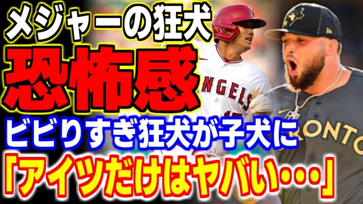 "Shohei Ohtani est fou..." Tous les membres ont été surpris par la véritable intention que le grand chien enragé a divulgué involontairement !  ![MLB, ligue majeure de baseball, baseball professionnel]