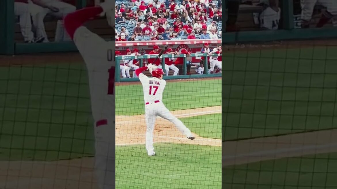 L'appel MVP de Shohei Otani retentit alors qu'il se tient au bâton