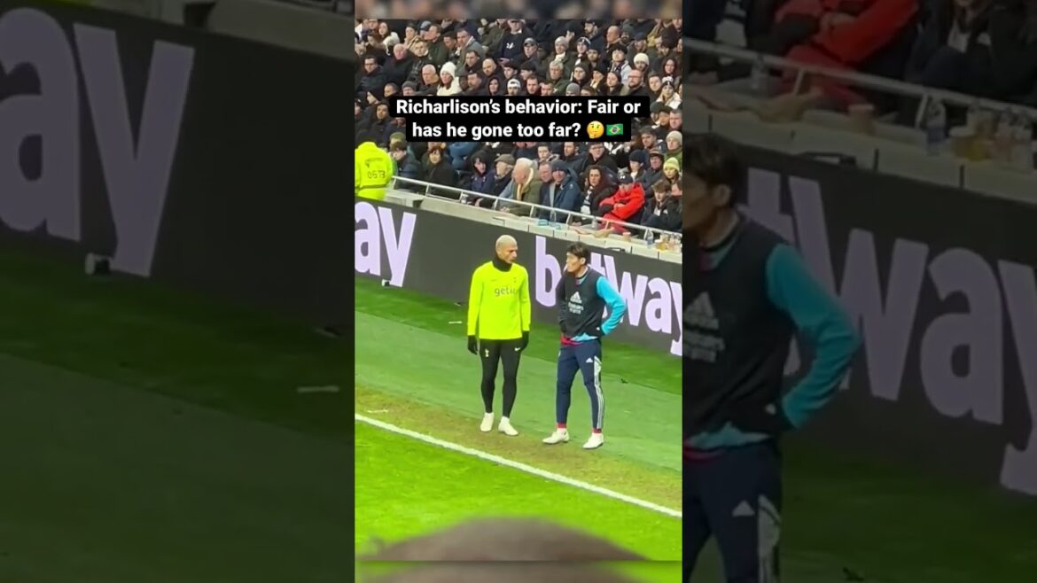 Richarlison incite au combat contre Arsenal : est-il allé trop loin ?  😳🇧🇷 #shorts #premierleague #footbal