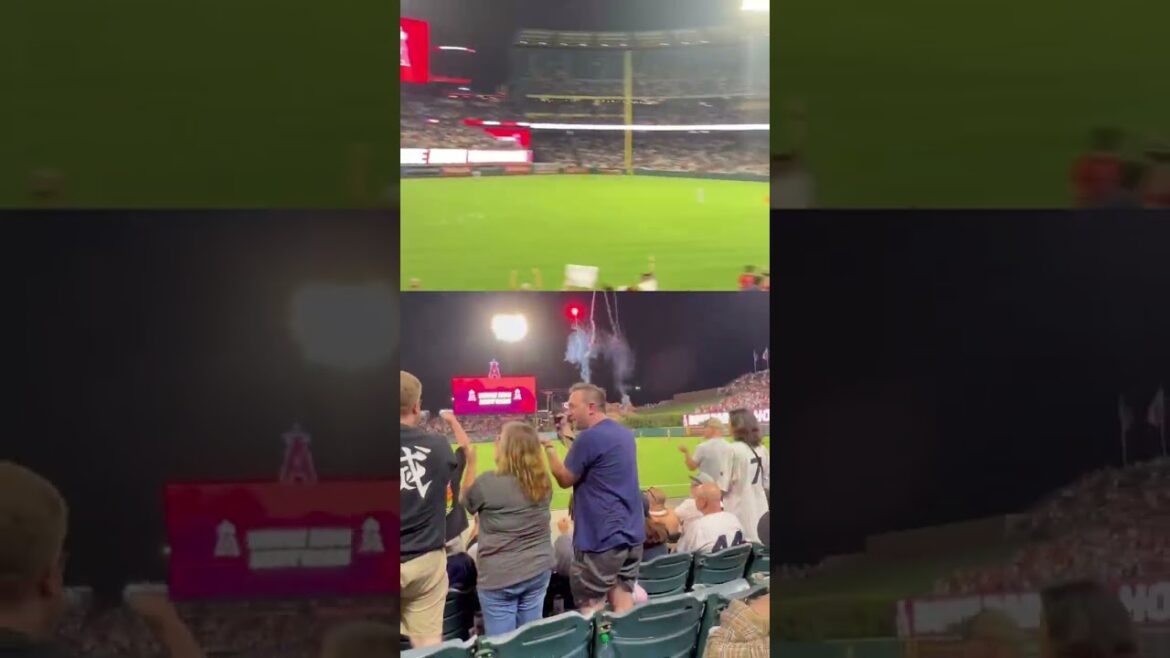 [⚾ Shohei Otani 2022 célèbre scène Vol.5]Appel du bras fort écrasé ! Balle d'écran arrière finale d'inversion n ° 30 surdimensionnée !  #shotrs #shoheiohtani