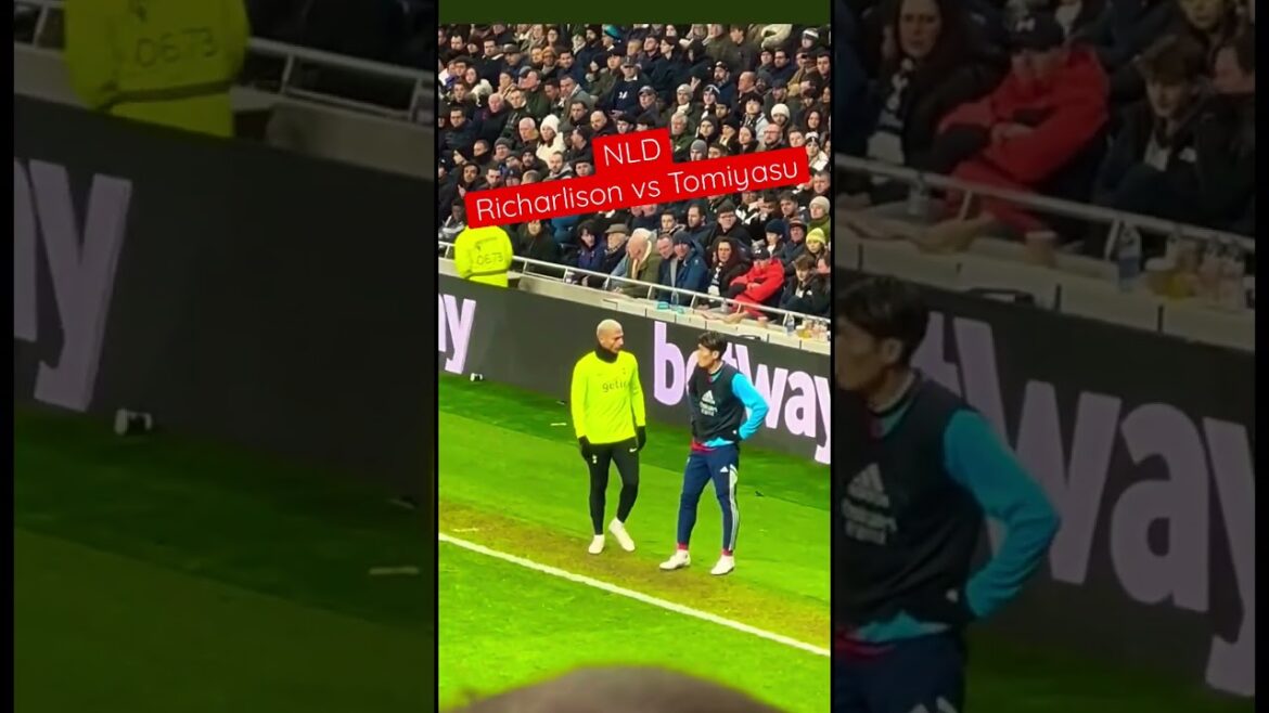 Richarlison contre Tomiyasu Takehiro Tomiyasu contre Richarlison