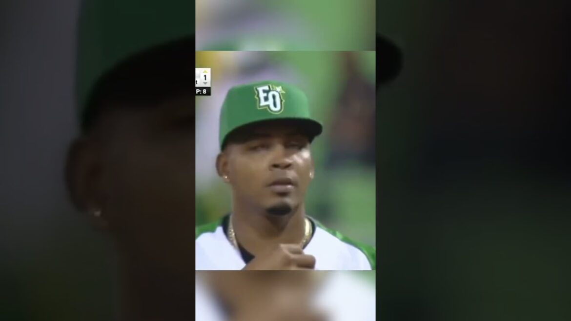 Jorge Alfaro remporte le titre de MVP de la Ligue dominicaine !  LFGSD |  #shorts