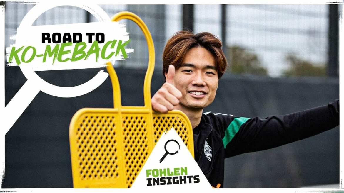 Road to Ko-meback : le retour d'Itakura 💪 |  FoalInsights