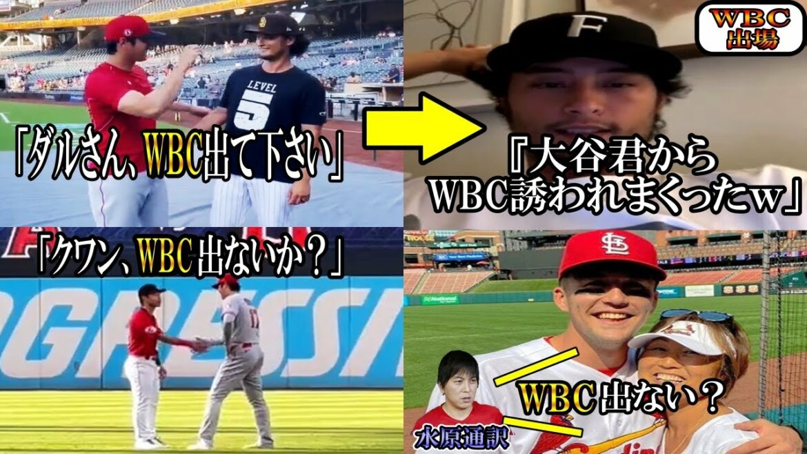 [Shohei Otani]Otani surveille divers joueurs en disant : "Daru doit apparaître dans le WBC !" Darvich Nutvar Kwan Ohtani