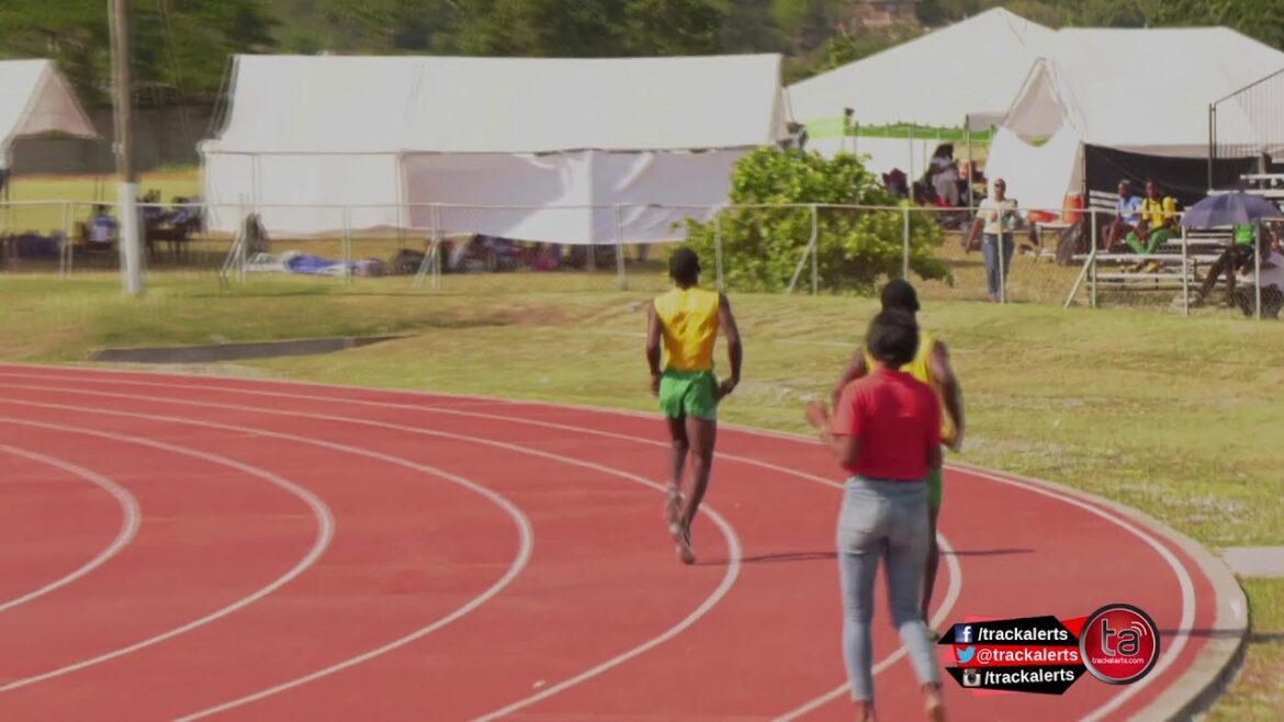 Haies centrales, lancers et relais