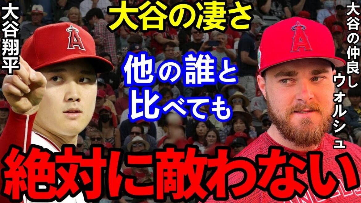[Shohei Ohtani]Applaudissements pour le « bon argument » publié par le bon ami Walsh !Chapeau à 〇〇, qui était trop dangereux pour le savoir car il était proche de moi...[Shohei Ohtani]Réaction outre-mer