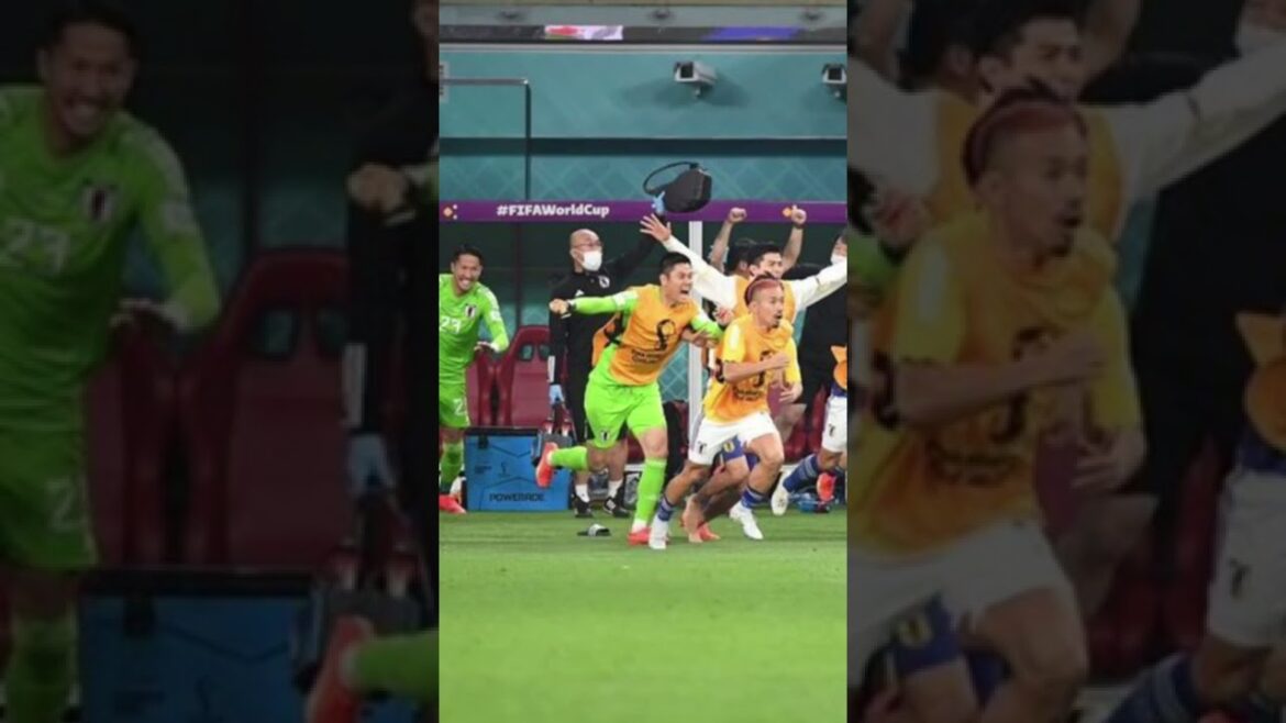 [Coupe du monde]C'est quoi cette main ? La main de Dieu? à qui la main ? Vous n'avez pas la jambe gauche et la main gauche ensemble ? Est ce juste moi?