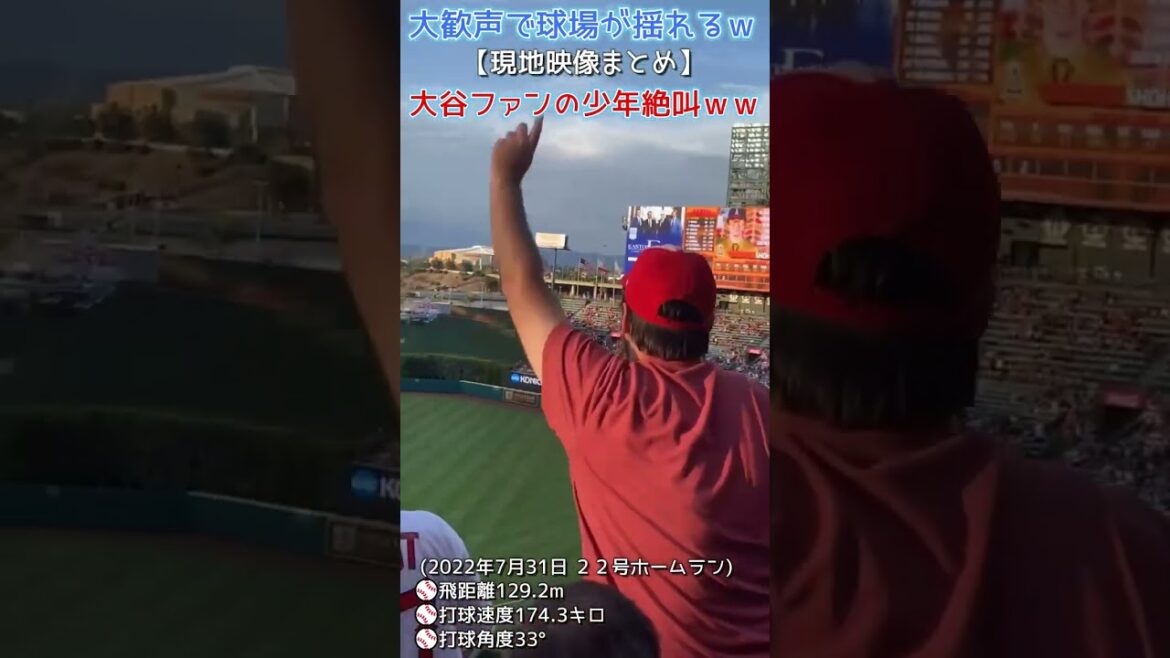 ⚾ Un garçon crie avec des appels consécutifs d'Otani w[Le stade tremble avec de fortes acclamations w Résumé de la vidéo locale ⑥]#Shohei Otani 2022 #vidéo locale #shotrs #shoheiohtani