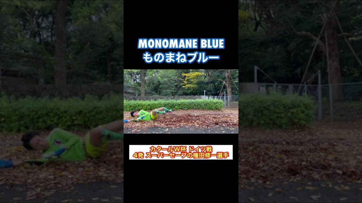 Coupe du monde du Qatar Allemagne match Shuichi Gonda super sauve 4 coups #shorts