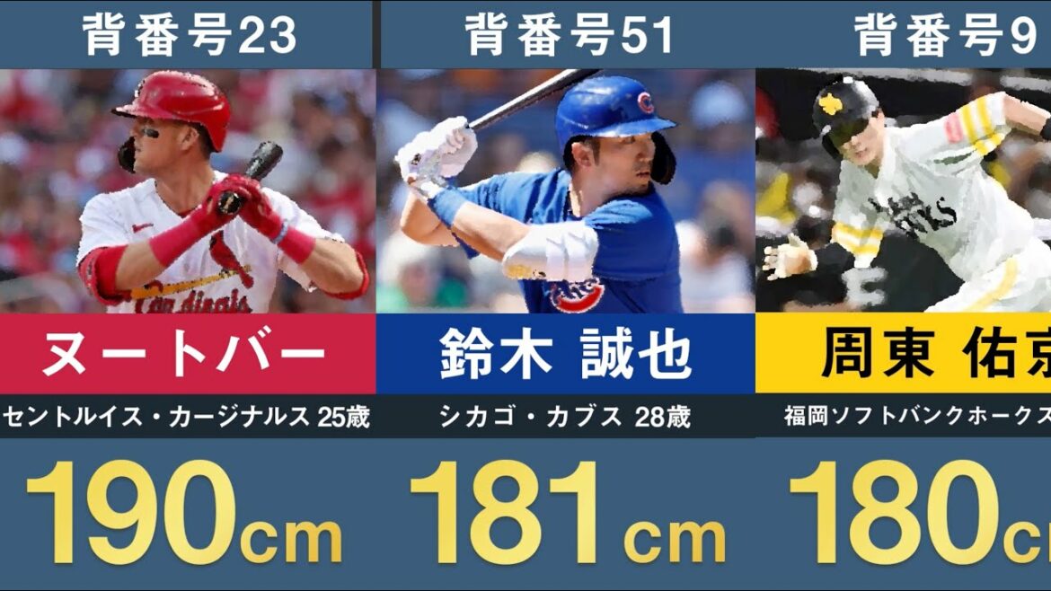[Samurai Japan Height List]2023 WBC Samurai Japan Classement de la hauteur de l'équipe nationale[World Baseball Classic Shohei Ohtani, Yuki Udagawa, Hiroto Takahashi, Munetaka Murakami, Seiya Suzuki, Yukyo Shuto, Coach Kuriyama of Nutvar]