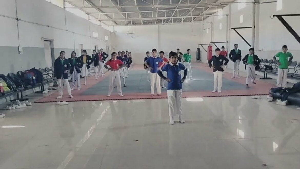 Échauffement karaté 🤟 #ndsi #school #sachinkarate #fitness #exercise