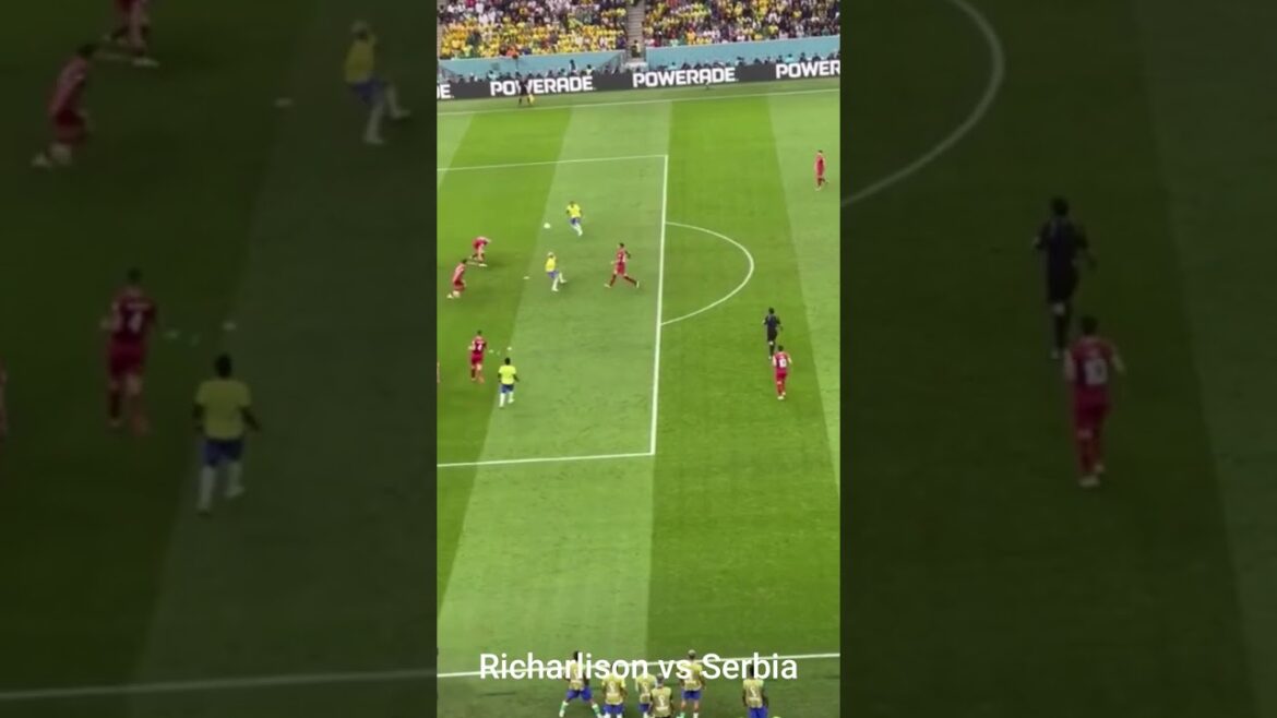 Goal Records Coupe du Monde 2022 par FANS ~ Al Dawsari ~ Takuma Asano ~ Richarlison ~ Messi ~ Enzo Fernandez