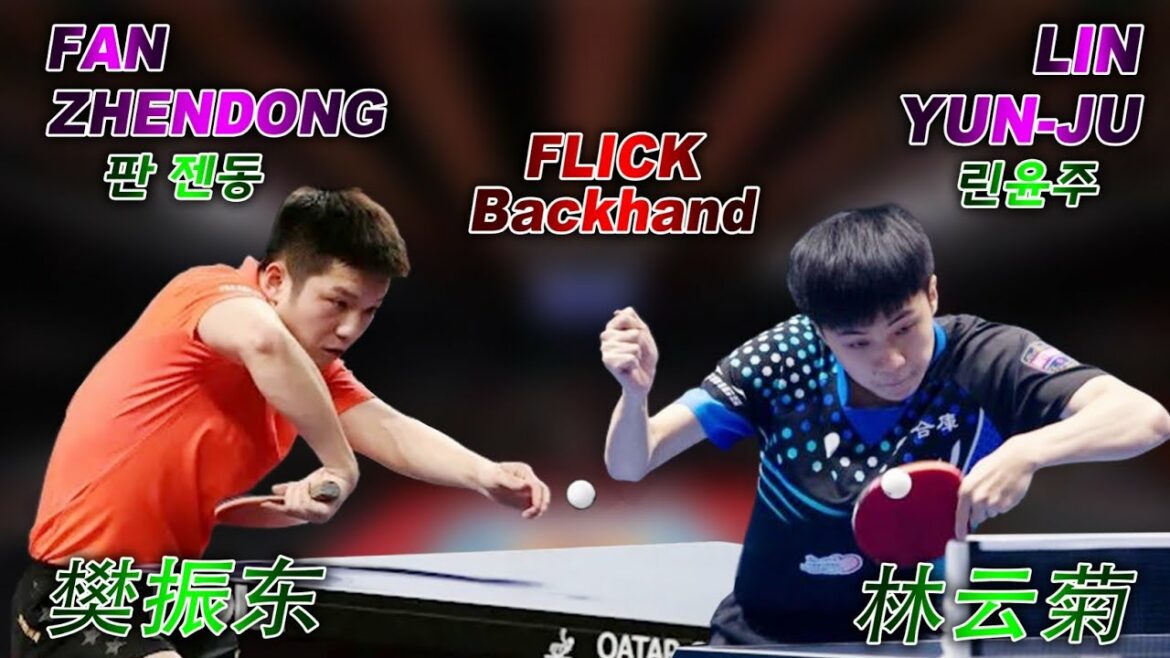 how to banana flick table tennis Lin Yun ju vs Fan Zhendong  林运菊VS樊振东乒乓球