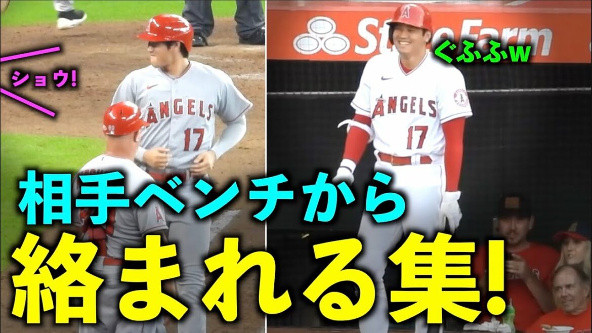 De différentes équipes! Shohei Otani Une collection qui s'emmêle depuis le banc adverse ! Anges[vidéo locale]