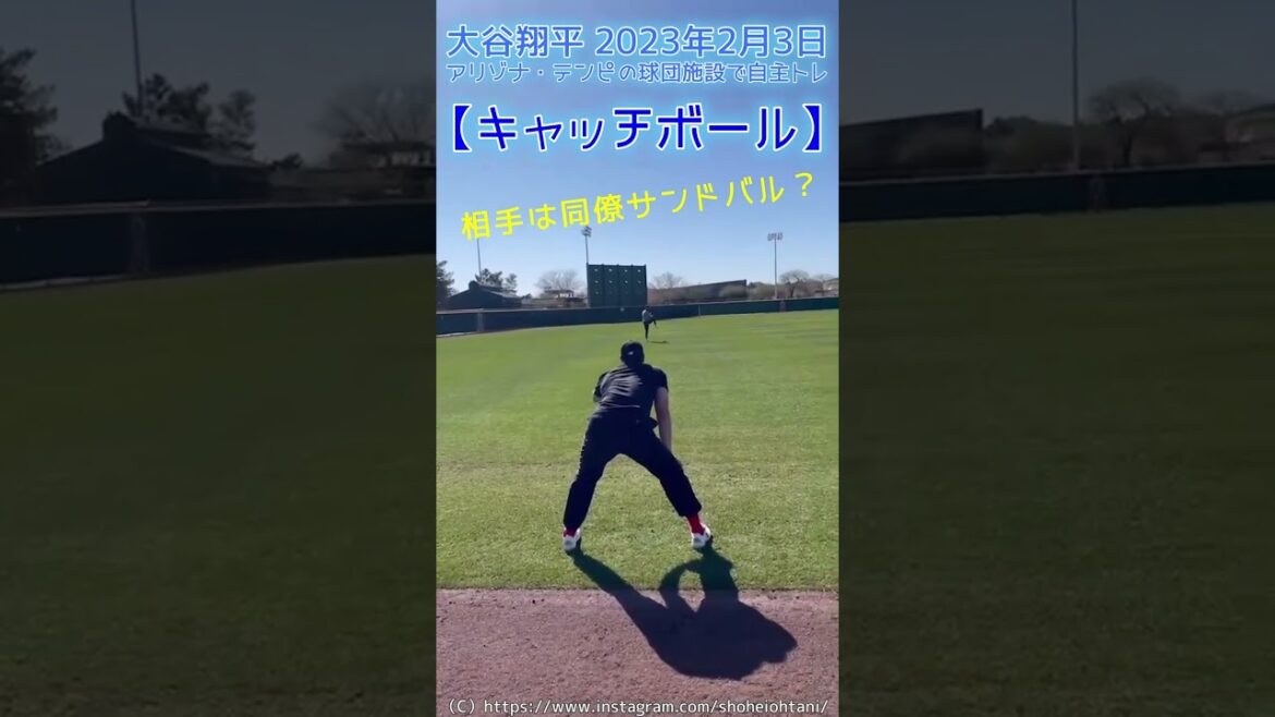 ⚾M. Otani, qui soulève 265,4 kg en entraînement musculaire (2023.2.3, auto-entraînement à l'installation de l'équipe de baseball Arizona Tempe) #shoheiohtani #shorts #Shohei Otani