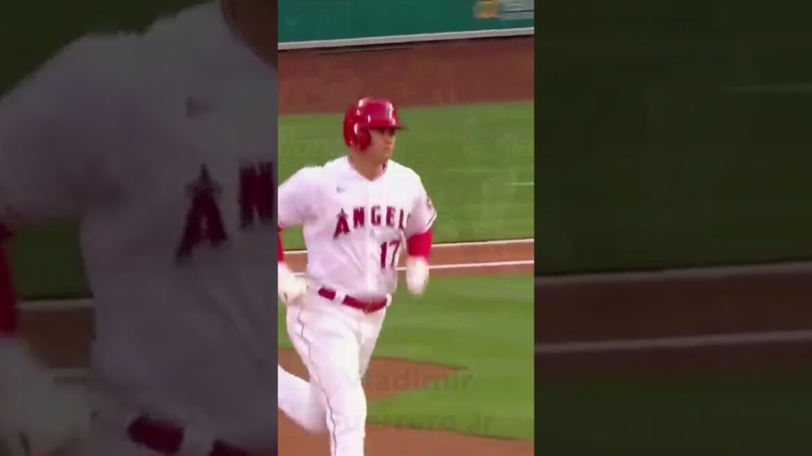 Home Run Challenge 2023. Qui frappera le plus ?  #shorts #mlb #baseball #sports