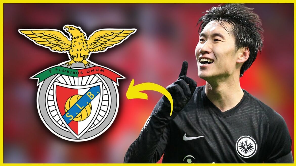 REGARDE ÇA!  DAICHI KAMADA NO BENFICA À COÛT ZÉRO !  NOUVELLES BENFICA!