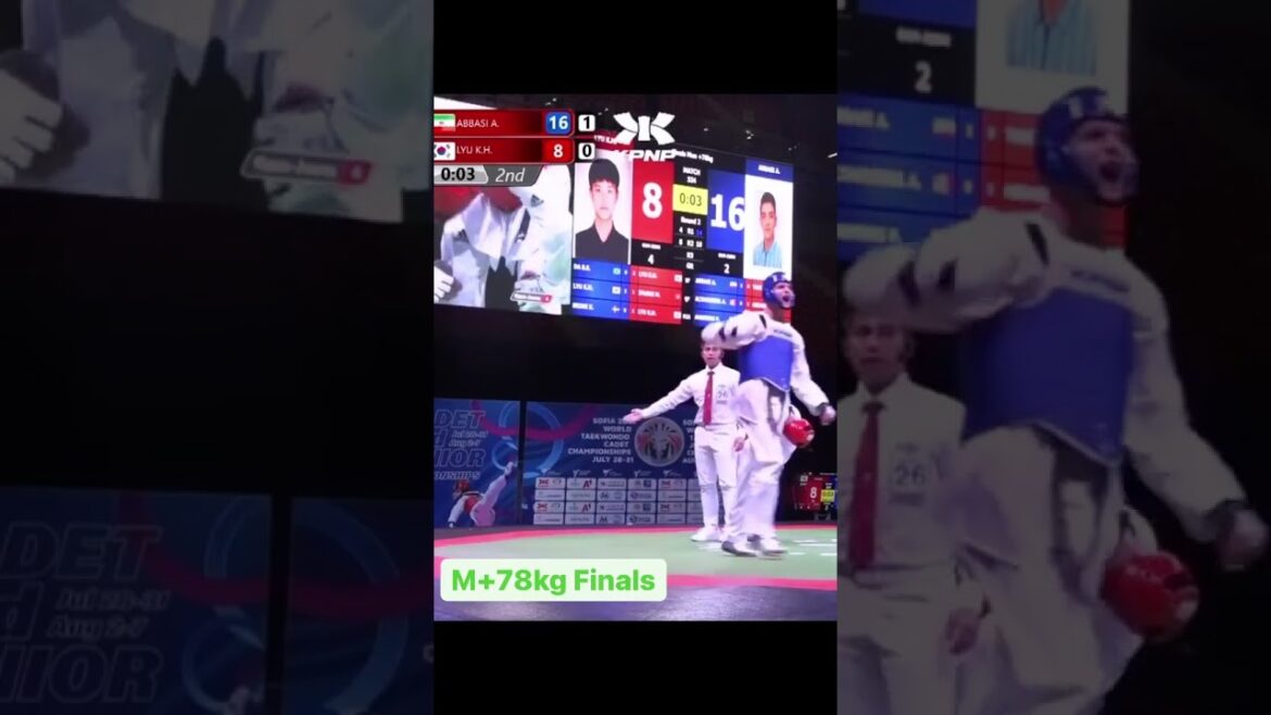 Taekwondo 🥋 Finale