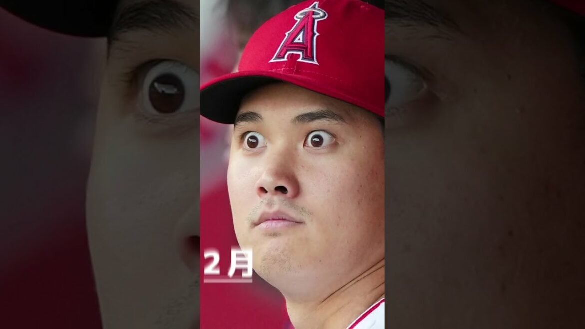 2023 🔥 Calendrier Shohei Otani 🗓 #shorts