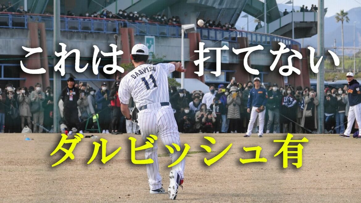 [Samouraï Japon]Yu Darvish Catch Ball (2023 0217)