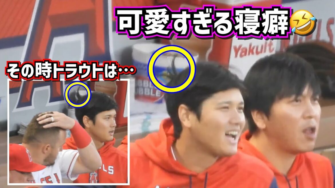 L'habitude de sommeil de Shohei Ohtani était trop mignonne🤣Ce que la truite a fait quand il l'a vu[Vidéo locale]ShoheiOhtani Angels ￼