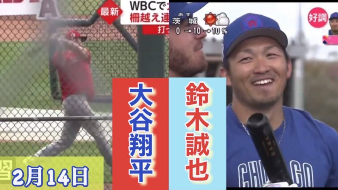 14 février Professional Baseball News "WBC Samurai Japan Feature" Shohei Otani ❗️ Seiya Suzuki ❗️ Taikai Ito