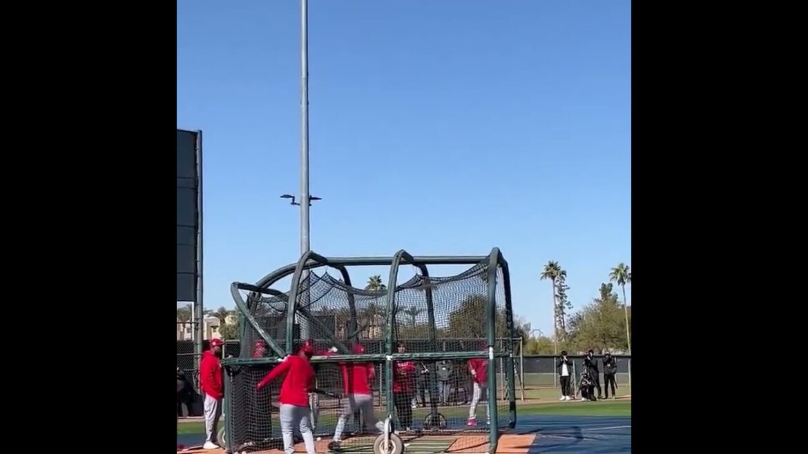 Shohei Ohtani BP.. #mlb #beisball #baseball #shorts