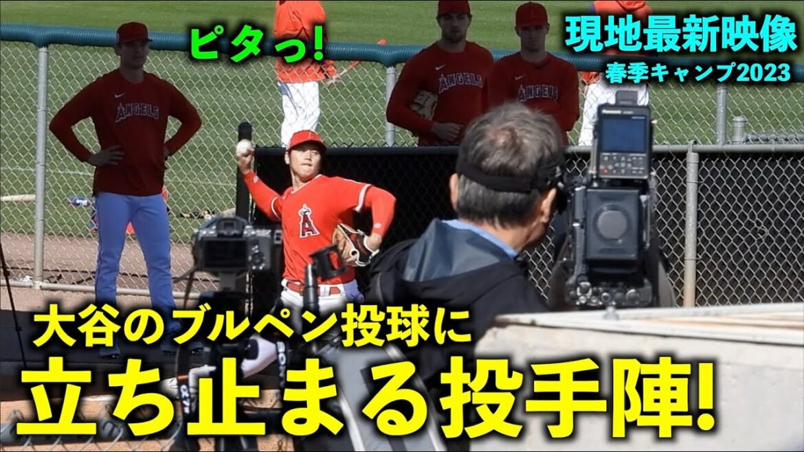 [Dernière vidéo en Amérique]Les lanceurs arrêtés par le lancer de l'enclos des releveurs de Shohei Otani ! Camp de printemps des anges[vidéo locale]
