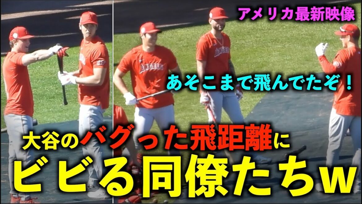 La dernière vidéo américaine ! Les collègues sont terrifiés par la distance de vol en buggy de Shohei Ohtani !  10 balles, telles que des balles de 140 m, sautent par-dessus la clôture ! Anges[Vidéo locale]Camp de printemps]