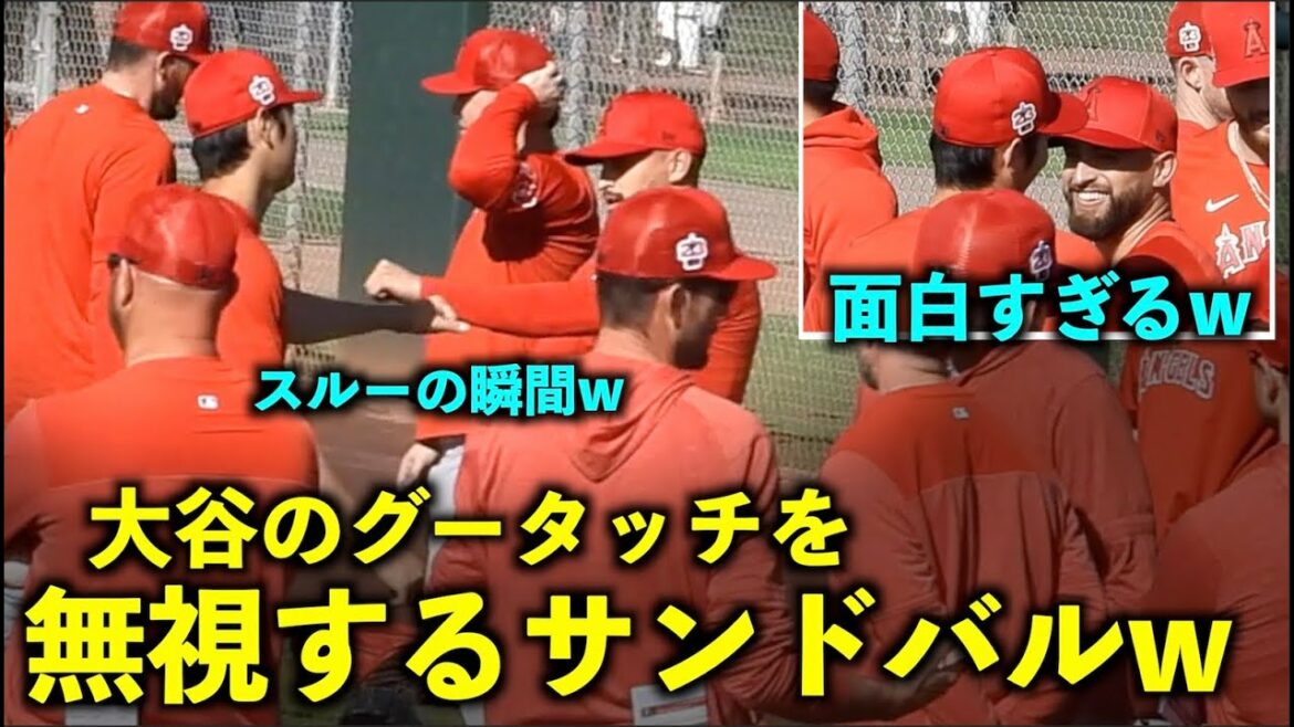 [Dernière vidéo aux États-Unis]Sandoval w Angels grâce à une bonne touche d'Ohtani[Vidéo locale]Spring Camp 2023