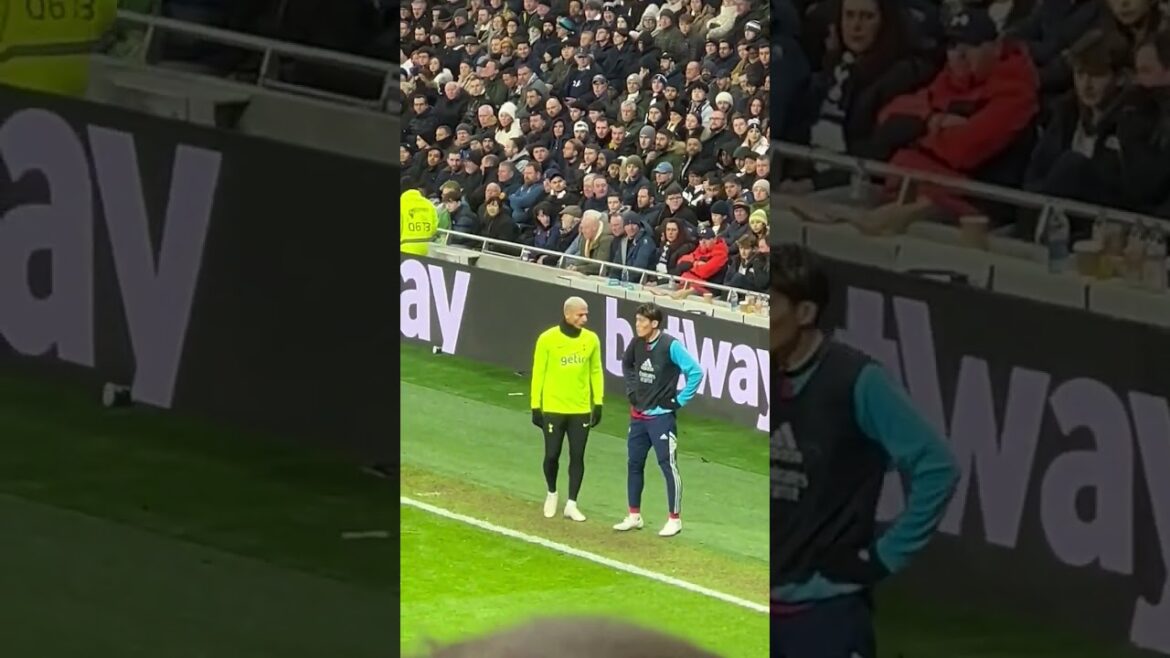 Tomiyasu vs Richarlison super serré sur la ligne de touche 😱 #shorts #shortvideo #arsenal #tottenham