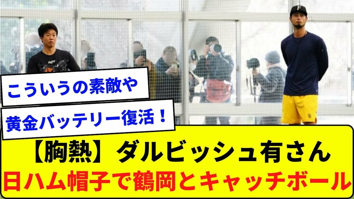 [Fièvre thoracique]M. Yu Darvish portant un chapeau de Japan Ham et jouant au catch avec M. Tsuruoka[Quelle réaction J]