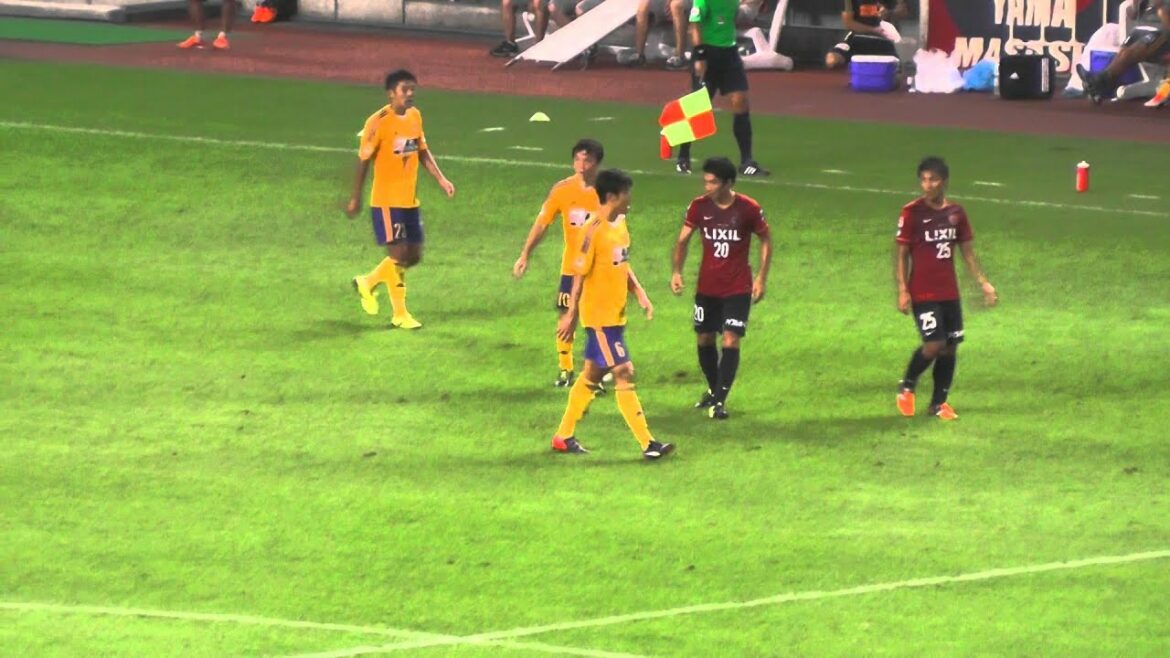 Gaku Shibasaki La figurine qui remplit l'herbe pendant le jeu est mignonne