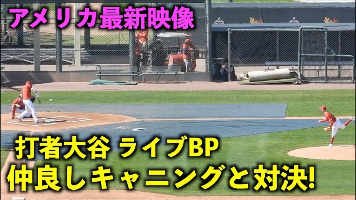 La dernière vidéo américaine ! Batter, Shohei Ohtani, a une confrontation à deux avec Canning à Live BP! Anges[Vidéo locale]Camp de printemps 2023